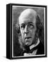 Herbert Spencer, English Philosopher and Sociologist, 1897-null-Framed Stretched Canvas