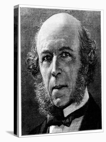 Herbert Spencer, English Philosopher and Sociologist, 1897-null-Stretched Canvas