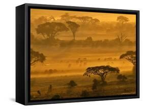 Herbivores at Sunrise, Amboseli Wildlife Reserve, Kenya-Vadim Ghirda-Framed Stretched Canvas