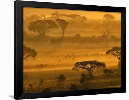 Herbivores at Sunrise, Amboseli Wildlife Reserve, Kenya-Vadim Ghirda-Framed Premium Photographic Print