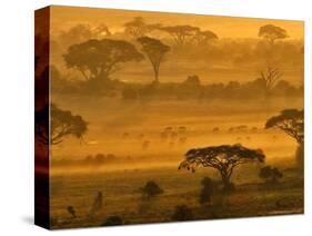 Herbivores at Sunrise, Amboseli Wildlife Reserve, Kenya-Vadim Ghirda-Stretched Canvas