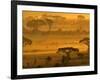 Herbivores at Sunrise, Amboseli Wildlife Reserve, Kenya-Vadim Ghirda-Framed Photographic Print