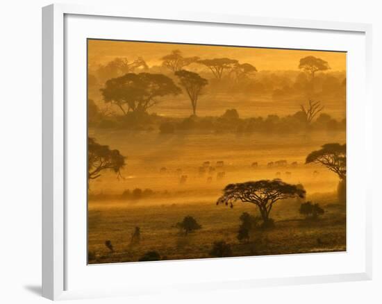 Herbivores at Sunrise, Amboseli Wildlife Reserve, Kenya-Vadim Ghirda-Framed Photographic Print