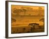 Herbivores at Sunrise, Amboseli Wildlife Reserve, Kenya-Vadim Ghirda-Framed Photographic Print