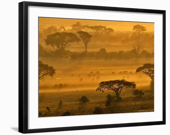 Herbivores at Sunrise, Amboseli Wildlife Reserve, Kenya-Vadim Ghirda-Framed Photographic Print