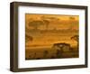 Herbivores at Sunrise, Amboseli Wildlife Reserve, Kenya-Vadim Ghirda-Framed Photographic Print