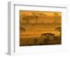 Herbivores at Sunrise, Amboseli Wildlife Reserve, Kenya-Vadim Ghirda-Framed Photographic Print