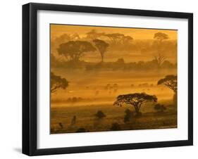 Herbivores at Sunrise, Amboseli Wildlife Reserve, Kenya-Vadim Ghirda-Framed Photographic Print