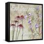 Herbs 2-Megan Aroon Duncanson-Framed Stretched Canvas