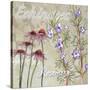 Herbs 2-Megan Aroon Duncanson-Stretched Canvas