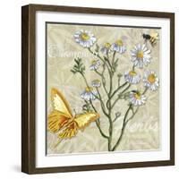 Herbs 3 Chamomile-Megan Aroon Duncanson-Framed Giclee Print