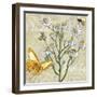 Herbs 3 Chamomile-Megan Aroon Duncanson-Framed Giclee Print