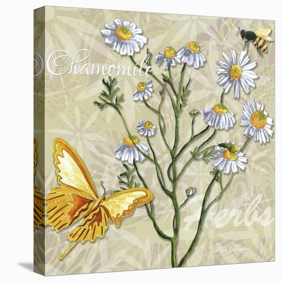 Herbs 3 Chamomile-Megan Aroon Duncanson-Stretched Canvas