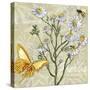 Herbs 3 Chamomile-Megan Aroon Duncanson-Stretched Canvas