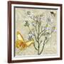 Herbs 3 Chamomile-Megan Aroon Duncanson-Framed Giclee Print