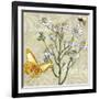 Herbs 3 Chamomile-Megan Aroon Duncanson-Framed Giclee Print