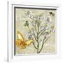 Herbs 3 Chamomile-Megan Aroon Duncanson-Framed Giclee Print