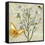 Herbs 3 Chamomile-Megan Aroon Duncanson-Framed Stretched Canvas