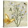 Herbs 3 Chamomile-Megan Aroon Duncanson-Stretched Canvas