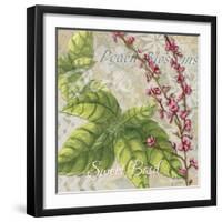 Herbs 4 Basil-Megan Aroon Duncanson-Framed Giclee Print