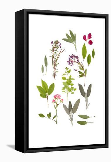 Herbs and Flowers of Summer-marilyna-Framed Stretched Canvas