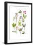 Herbs and Flowers of Summer-marilyna-Framed Art Print