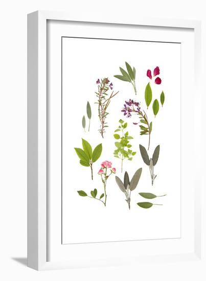 Herbs and Flowers of Summer-marilyna-Framed Art Print