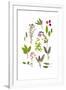 Herbs and Flowers of Summer-marilyna-Framed Art Print