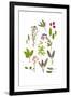 Herbs and Flowers of Summer-marilyna-Framed Art Print