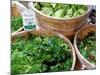 Herbs and Greens, Ferry Building Farmer's Market, San Francisco, California, USA-Inger Hogstrom-Mounted Photographic Print