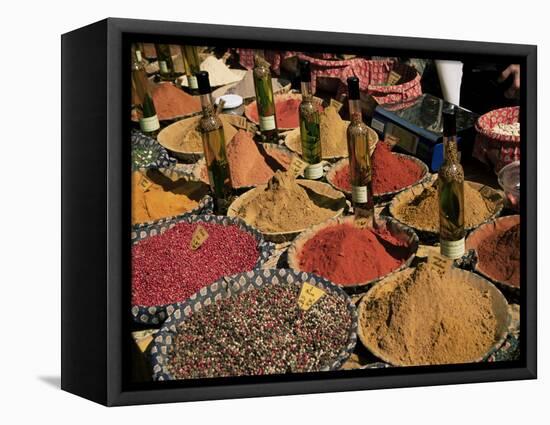 Herbs and Spices, Aix En Provence, Bouches Du Rhone, Provence, France-Roy Rainford-Framed Stretched Canvas