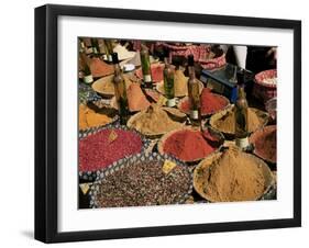 Herbs and Spices, Aix En Provence, Bouches Du Rhone, Provence, France-Roy Rainford-Framed Photographic Print