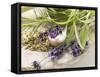 Herbs and Spices-Eising Studio - Food Photo and Video-Framed Stretched Canvas