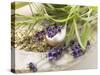 Herbs and Spices-Eising Studio - Food Photo and Video-Stretched Canvas