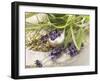 Herbs and Spices-Eising Studio - Food Photo and Video-Framed Photographic Print