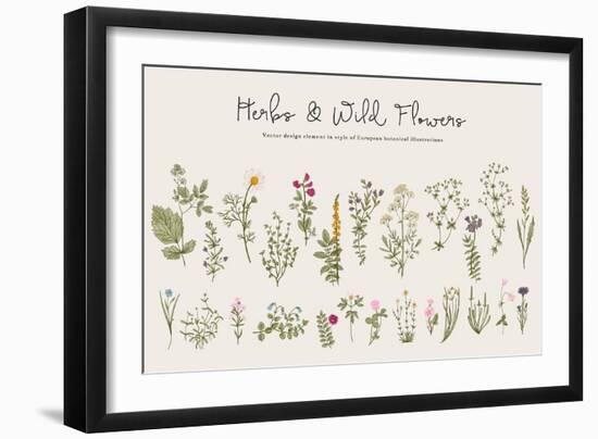 Herbs and Wild Flowers. Botany. Set. Vintage Flowers. Colorful Illustration in the Style of Engravi-Olga Korneeva-Framed Art Print