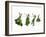 Herbs Drying on a Washing Line-Kröger & Gross-Framed Photographic Print
