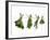 Herbs Drying on a Washing Line-Kröger & Gross-Framed Photographic Print