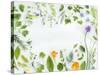 Herbs Framing the Picture-Maximilian Stock-Stretched Canvas