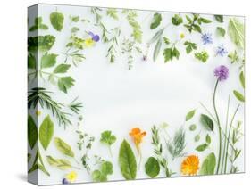 Herbs Framing the Picture-Maximilian Stock-Stretched Canvas