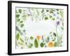 Herbs Framing the Picture-Maximilian Stock-Framed Photographic Print