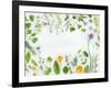 Herbs Framing the Picture-Maximilian Stock-Framed Photographic Print