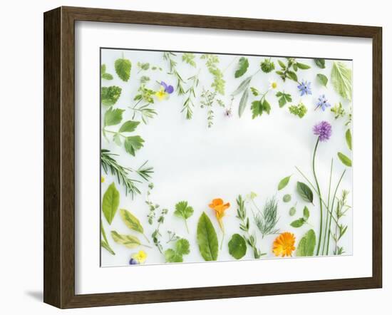 Herbs Framing the Picture-Maximilian Stock-Framed Photographic Print