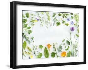 Herbs Framing the Picture-Maximilian Stock-Framed Photographic Print