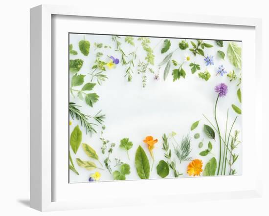 Herbs Framing the Picture-Maximilian Stock-Framed Photographic Print