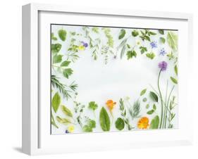 Herbs Framing the Picture-Maximilian Stock-Framed Photographic Print