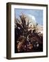 Herbs, Insects and Flowers-Matthias Withoos-Framed Giclee Print