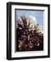 Herbs, Insects and Flowers-Matthias Withoos-Framed Giclee Print