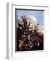 Herbs, Insects and Flowers-Matthias Withoos-Framed Giclee Print