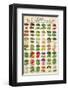 Herbs & Spices-null-Framed Premium Giclee Print